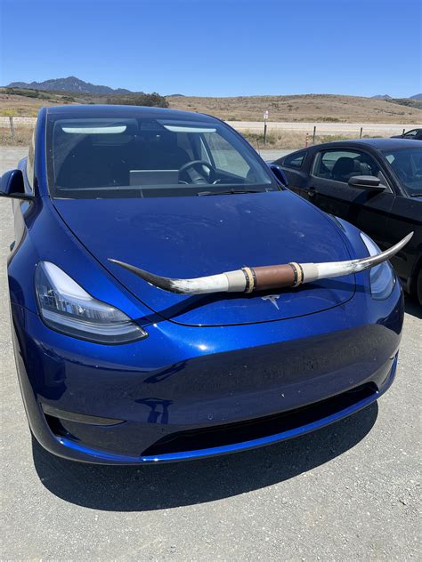 Austin Model Y Longhorn Edition Spotted In California Central