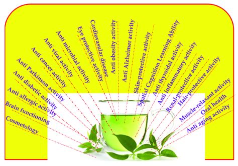Overview Of The Health Benefits Of Green Tea Download Scientific Diagram
