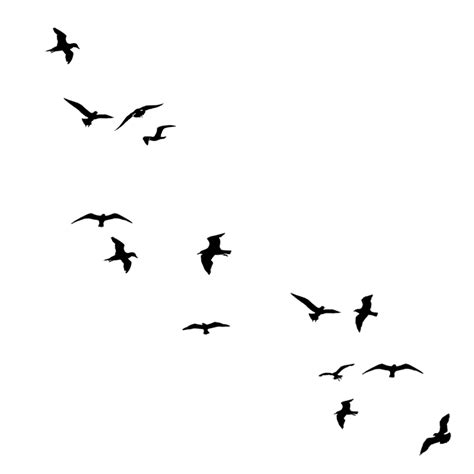 Bird Flight Silhouette Drawing Flock Birds Flying Png Flock Png