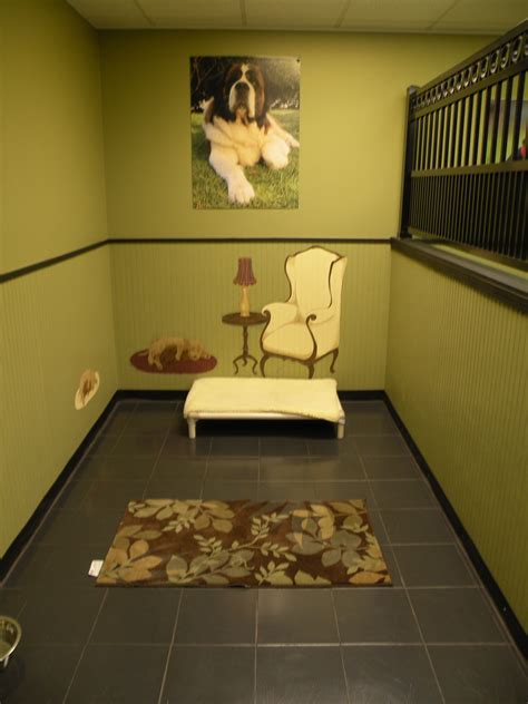 Luxury Dog Boarding Suites Inspiration Room Indoor Dog Kennel Puppy