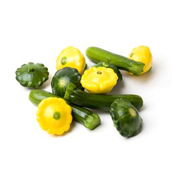 What is baby zucchini squash. BABY SQUASH | Alphas Produce, Inc.