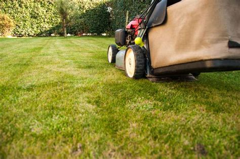 Using our lawn care app, lawn care providers have access to pick up your job in as little as two days. Lawn Service Near Me in Centre City