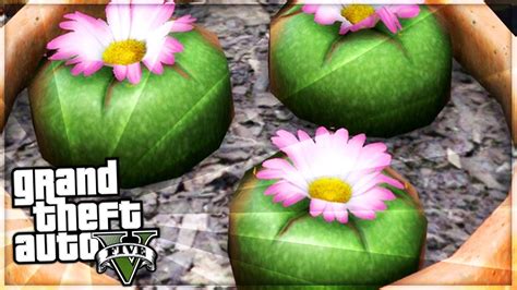 Gta All Peyote Plants Location Guide Play As An 12831 Hot Sex Picture