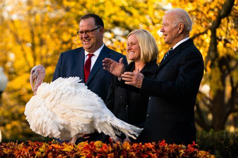 in thanksgiving tradition biden to grant presidential pardon to a turkey both birds get a