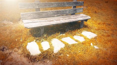 In Autumn Fantasy Fable Bench In Park With Sunrise Scene Stock Image
