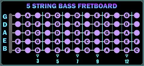 5 String Bass Fret Chart My Xxx Hot Girl