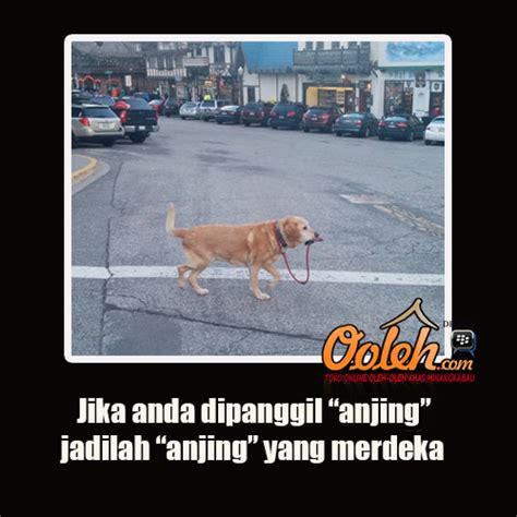 Download 6 Meme Anjing Terbaru Iqbal Muklis