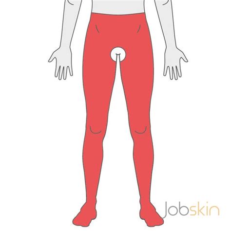 Jobskin® Premium Waist Height Two Legs Open Or Closed Pubis 1101