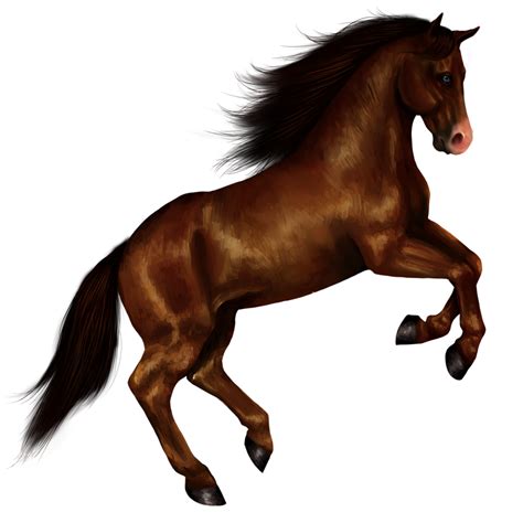 Mustang Horse Clipart Images ~ Mustang Horse Cartoon Bodewasude