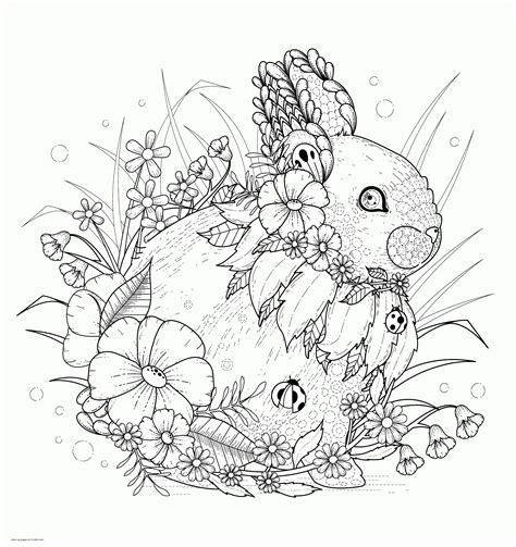 Rabbit Coloring Pages Adult Animal Book Coloring Pages Printablecom