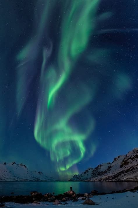 Aurora boreale: le più belle foto dell'anno, dal Canada alla Finlandia