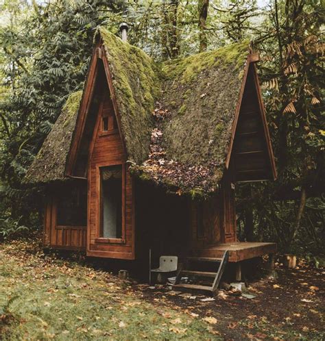 Cool Cabin In A Forest Washington State Rcozyplaces