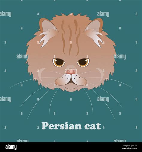 Print With Fluffy Cartoon Persian Cat Vector Stock Vector Image And Art