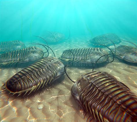 Trilobites Scavenging On The Seabottom Stock Illustration