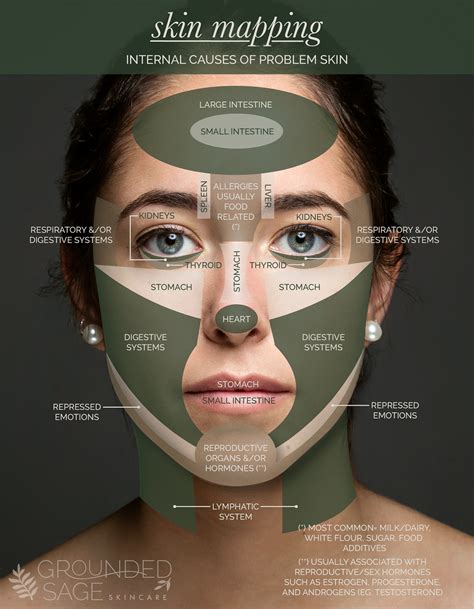 acne face map skin mapping chart pinpoint internal causes of problem skin grounded sage