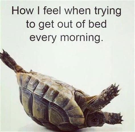 How I Feel When Trying To Get Out Of Bed Every Morning Realfunny