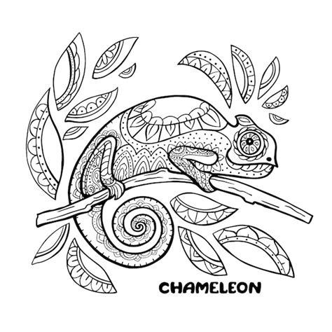 Premium Vector Chameleon Coloring Book Illustration Anti Stress