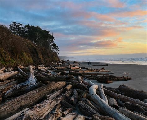 Get the most out of your trip with package deals. Kalaloch Lodge Forks, Washington, US - Reservations.com
