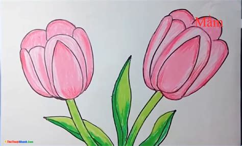 Tranh Vẽ Hoa Đơn Giản Đẹp Hoa Sen Cúc Đào Hướng Dương Tulip