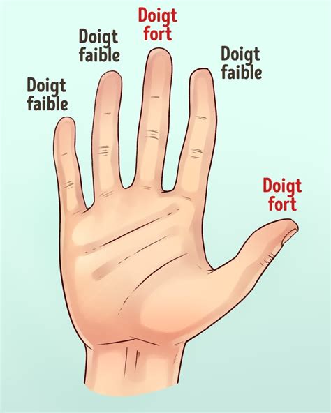 Que signifie la forme des mains et des doigts sur la personnalité