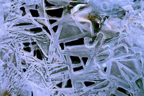 무료 이미지 분기 눈 겨울 식물 잎 꽃 서리 얼음 인상 시즌 화석 Patterns4judy 366 장의