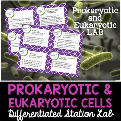 Prokaryotic And Eukaryotic Cells Student Led Station Lab Distance