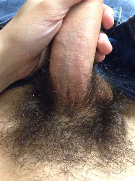 My Hairy Dick Photo Album By Shadowninja2