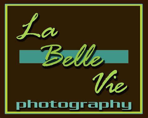 La Belle Vie Photography Llc