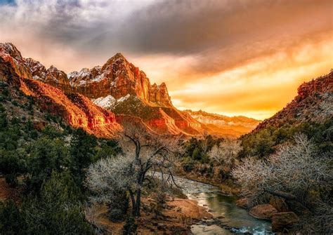 Zions Light Sunset At The Watchman Zion National Park Oc