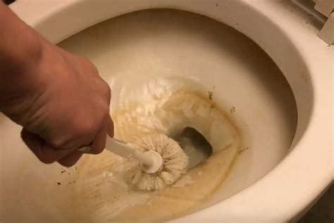 How To Remove Toilet Bowl Ring Toilet Consumer