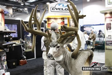 Cody Robbinss New Non Typical World Record Mule Deer Or Is It