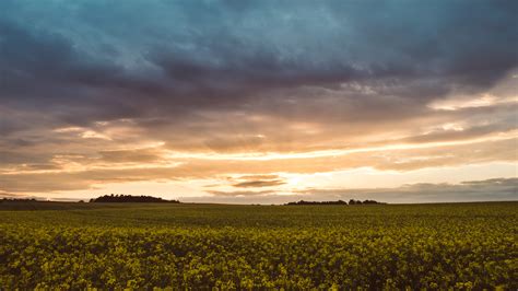 Ebay is here for you with money back guarantee and easy return. Paling Bagus 20+ Gambar Wallpaper Kuning Polos - Richa ...