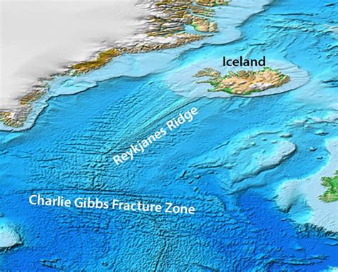 Iceage3 Expedition Discovers Stunning New Hydrothermal Vents On The