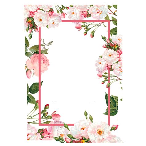 Pink Flower Border Design Png Clip Art Library Images And Photos Finder