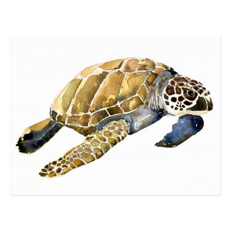 Sea Turtle Watercolor Sketch Postcard Zazzle Com In 2021 Sea Turtle