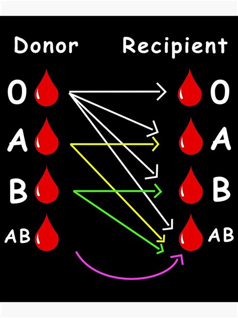 Blood Type Donor Recipient Guide Lets Save A Life Poster By Bat01