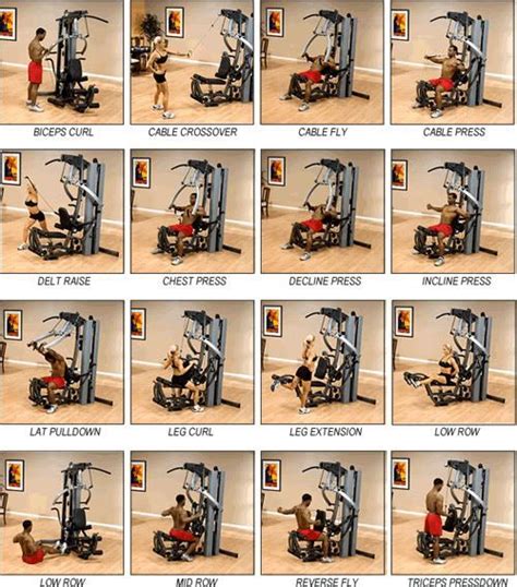 Home Gym Workout Instructions Boflex Workouts Gym