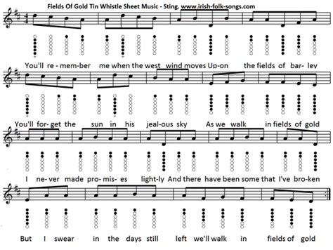 Fields Of Gold Tin Whistle And Piano Sheet Music Letter Notes Irish