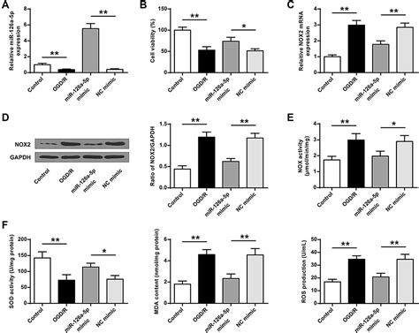 MiR 126a 5p In Regulating NOX2 In Ischemic Stroke NDT