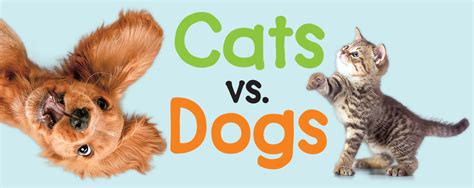 Cats Vs Dogs