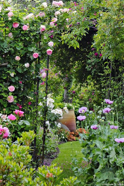 Un Jardin De Roses Et De Vivaces Dans Les Landes Aménager Petit