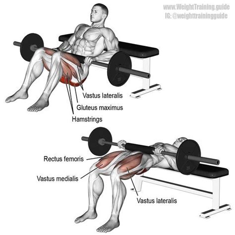 Barbell Hip Thrust Exercise Instructions And Video Weight Training Guide Barbell Hip Thrust