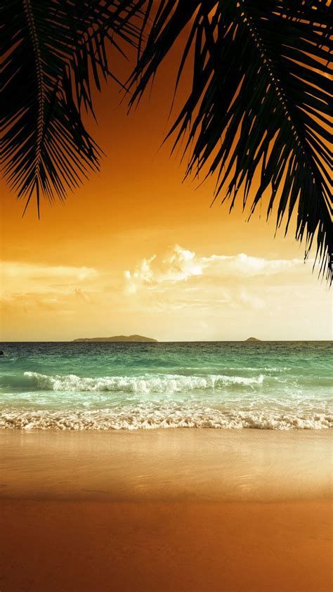 24 Tropical Paradise Iphone Wallpaper Paseo Wallpaper