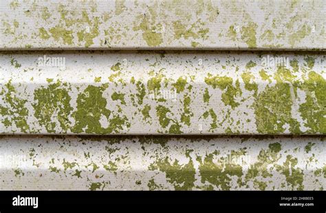 Dirty Vinyl Siding Needs Pressure Washing Dirty Facade Building