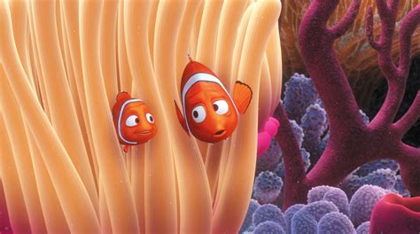 Finding Nemo Pics Finding Nemo Wallpapers Pictures Images Bailey