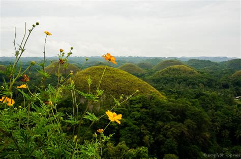 10 Of The Best Things To Do In Bohol