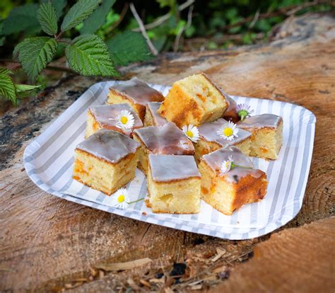 Kuchen im vorgeheizten ofen circa. Zitronen-Aprikosen-Kuchen - Annemarie Wildeisens KOCHEN