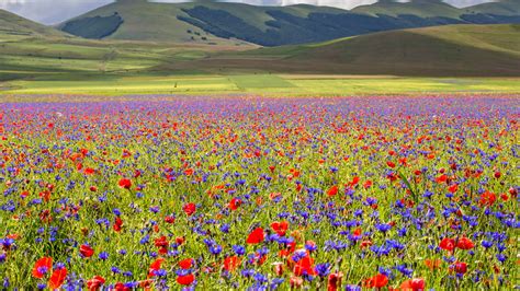 The Italian Village Of Castelluccio Is Surrounded By Rainbow Fields Of