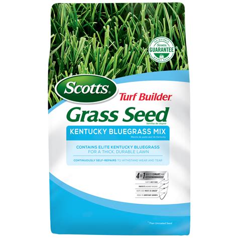 Shop Scotts Turf Builder 7 Lbs Sun And Shade Bluegrass Seed At