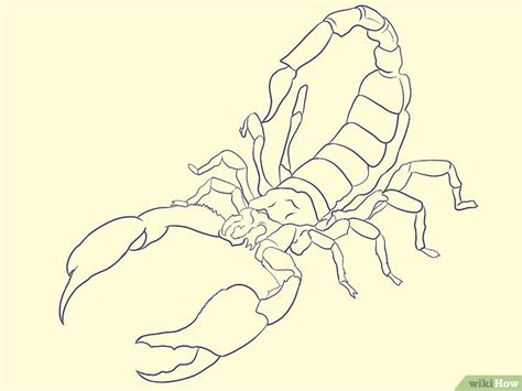 Cómo Dibujar Un Escorpión Con Imágenes Wikihow